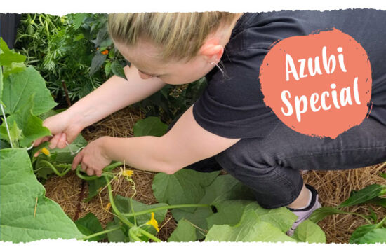 Teaser Mail Alina Azubigeschichten