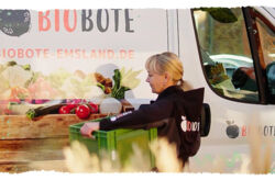 Tanja mit Kiste vor Lieferbulli