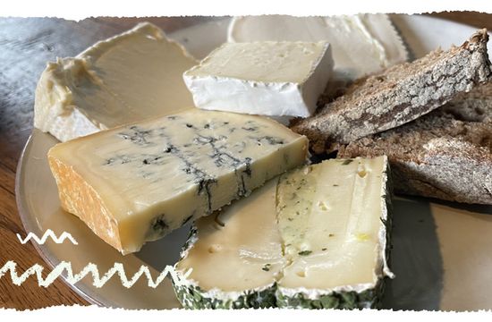 Teaser Biokäse