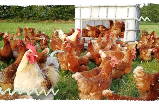 Teaser Mail Lieferantenporträt