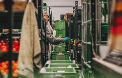 Online Kurs Gemüsefermentation