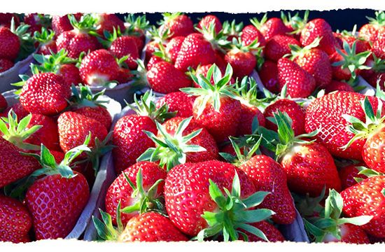 Sebastian mit Käsebrötchen