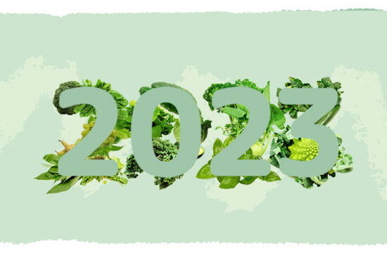 Asiatischer Gurkensalat