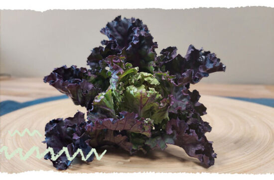 Warenkunde Flowersprouts