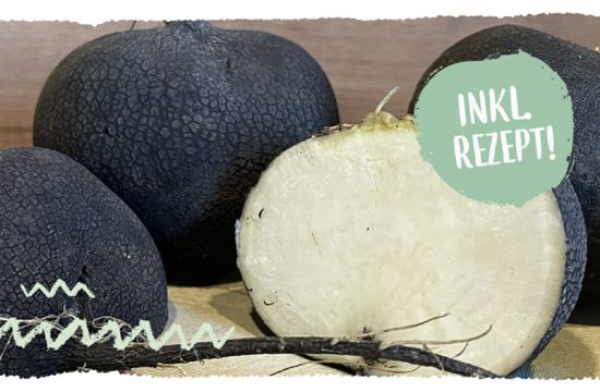 Teaser mail WissensSnack2Go schwarzer Rettich