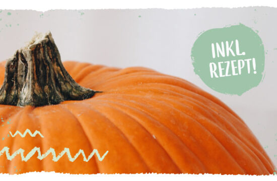 Teaser Warenkunde Kürbis