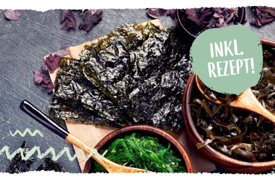 Teaser mail WissensSnack2Go Nori Blätter