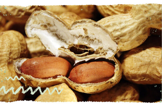 Warenkunde Erdnüsse