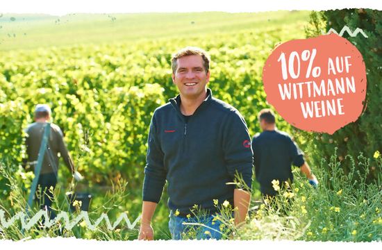 Teaser Mail Wittmann