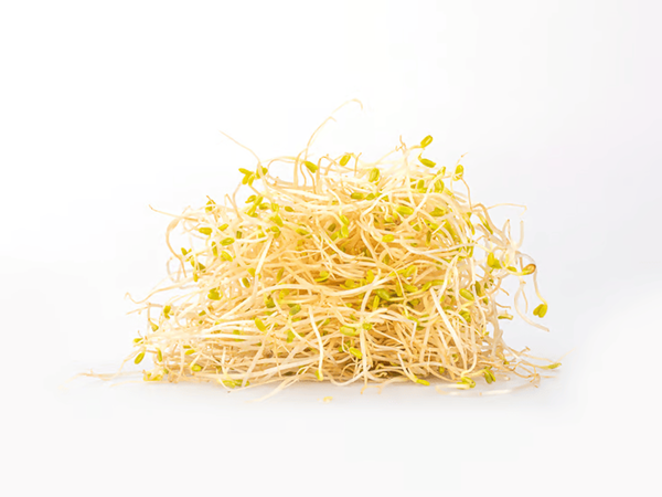 Produktfoto zu Alfalfa Sprossen - 100g