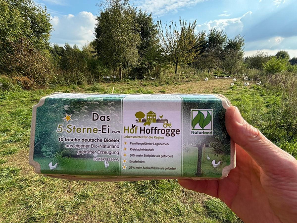 Produktfoto zu Eier - 10er Karton