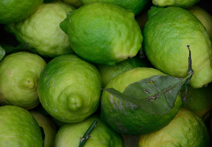 Limette an Baum