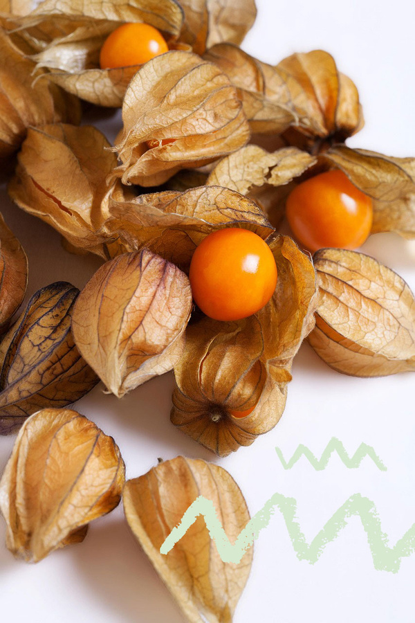 Haufen Physalis