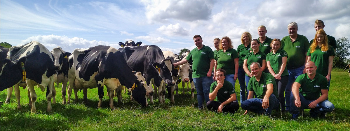 Team Engelnhof Weide Kühe