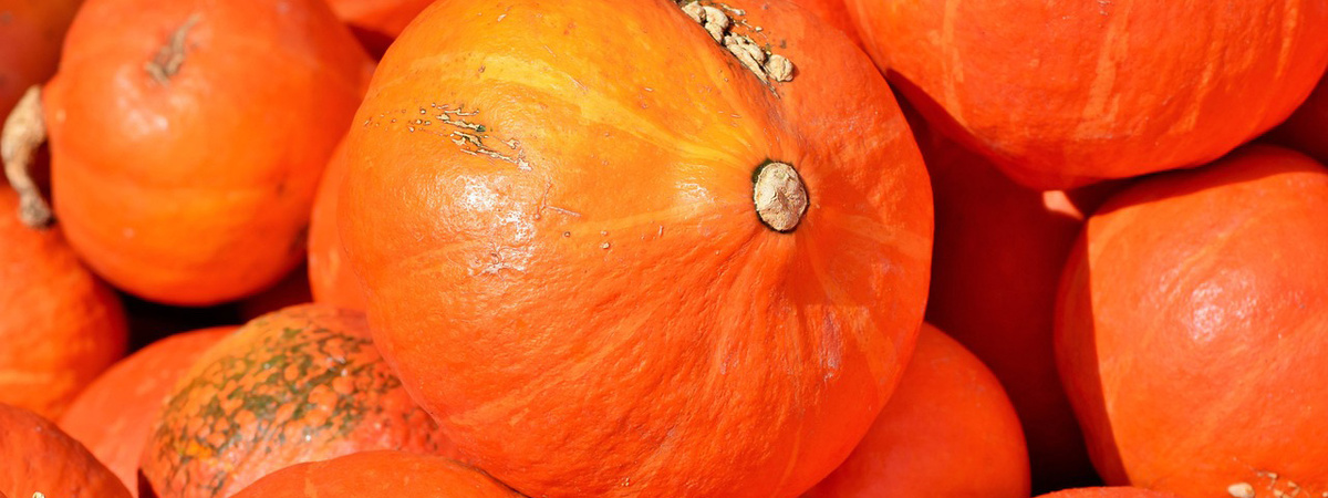 Apfel Vielfalt