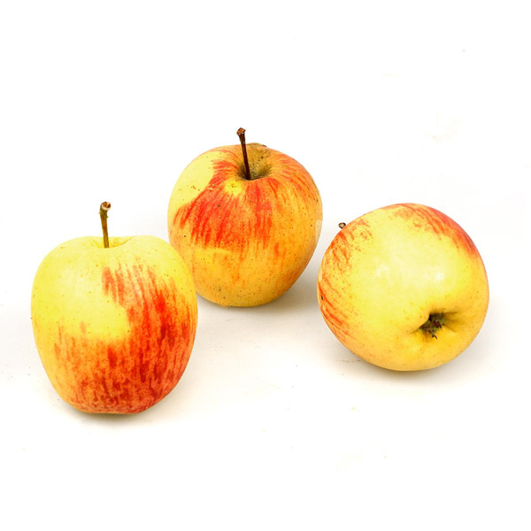 Produktfoto zu Apfel Ambassy