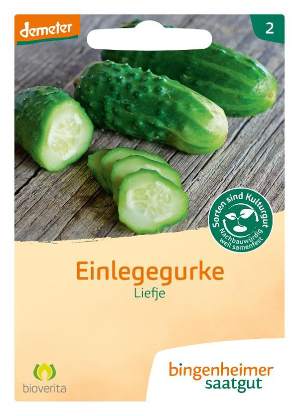 Produktfoto zu Bingenheimer Saatgut - Einlegegurke Liefje
