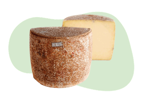 Cantal AOP 