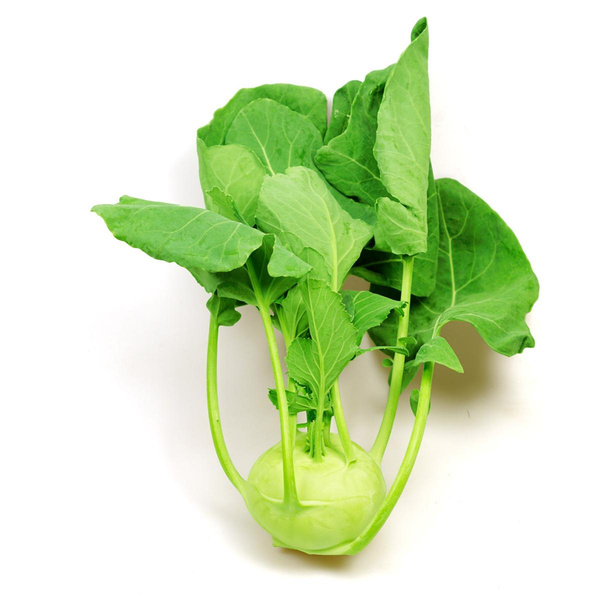 Produktfoto zu Kohlrabi, erste deutsche Ernte (etwas klein)