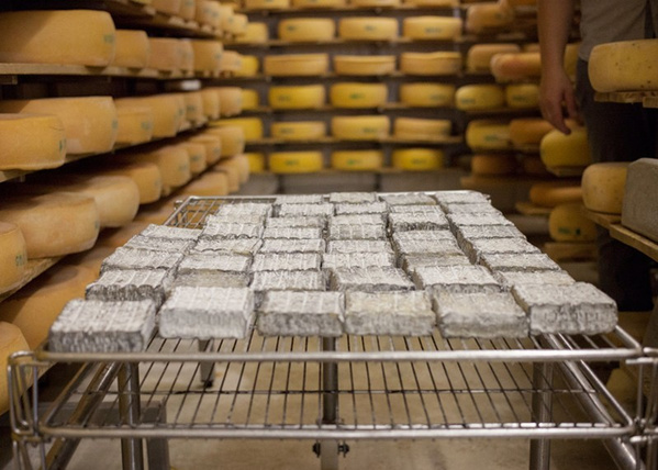 Käselagerung Hof Dannwisch