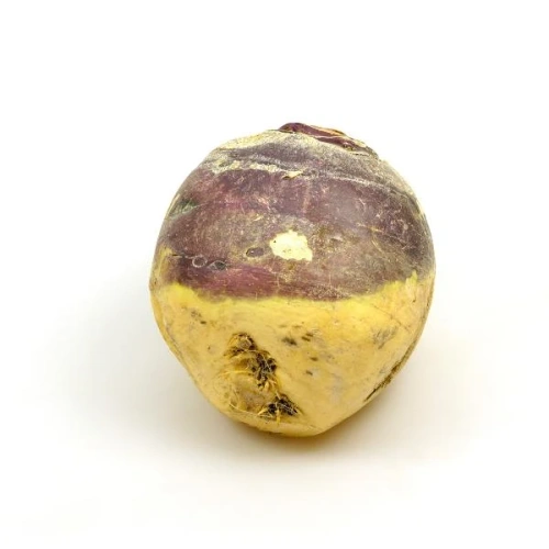 Das Bild zeigt eine einzelne Steckrübe auf einem weißen Hintergrund. Die Rübe hat eine gelbliche und violette Färbung.