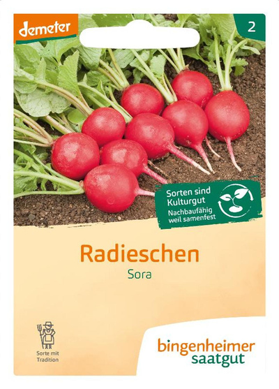 Produktfoto zu Bingenheimer Saatgut - Radieschen