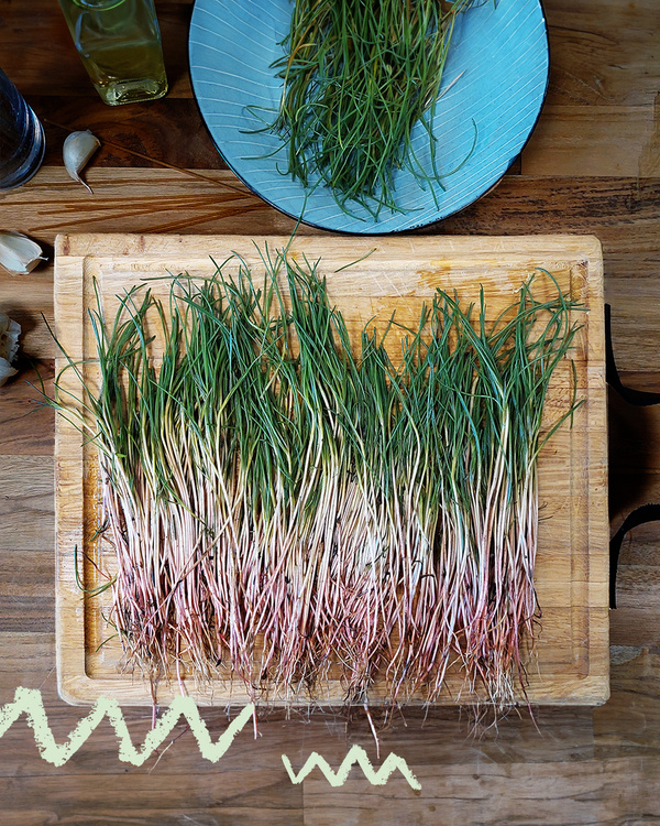 Mönchsbart Stiele, roh auf Schneidebrett