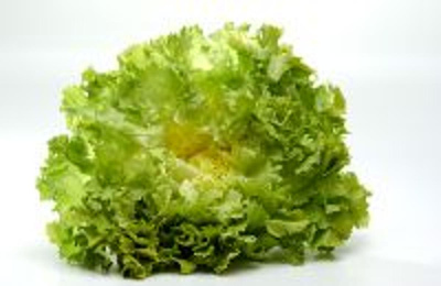 Produktfoto zu Endiviensalat