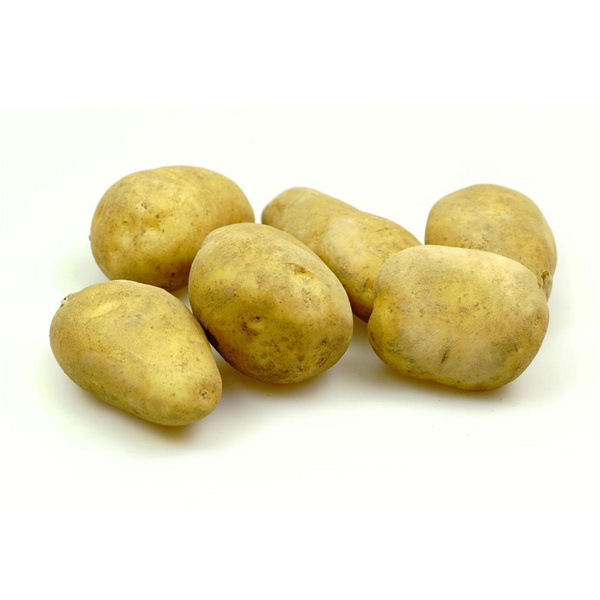 Produktfoto zu Kartoffeln - mehligkochend, Sorte Gunda - 1kg - neue Ernte