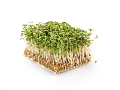 Produktfoto zu Rucola-Kresse