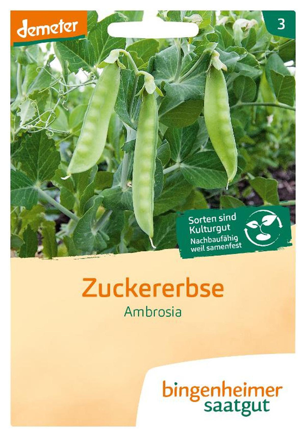 Produktfoto zu Bingenheimer Saatgut - Zuckererbse