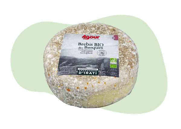 Brebis Basque