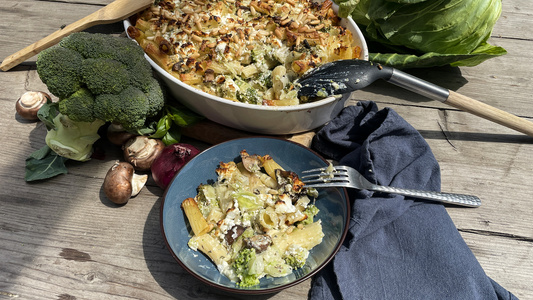 Spitzkohl. Nudelauflauf