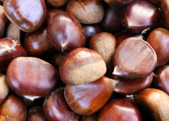 Esskastanien