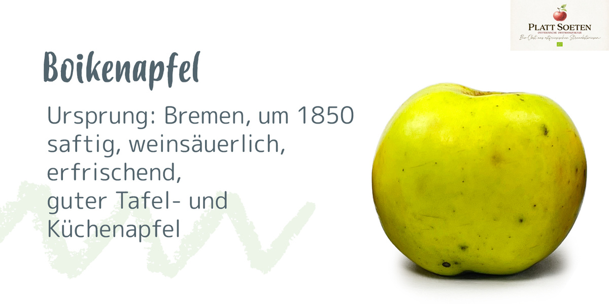 Ein Apfel mit der Beschriftung "Celler Dickstiel", Ursprung: Mecklenburg, um 1800, säuerlich-süß, aromatisch.