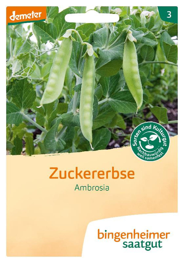 Produktfoto zu Bingenheimer Saatgut - Zuckererbse