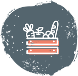 Icon Biokiste