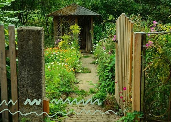 Wilder Garten