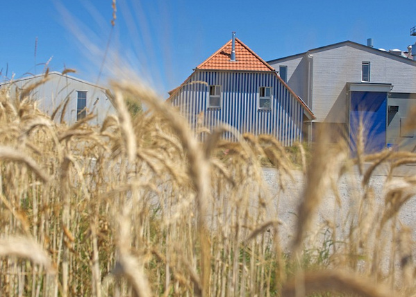 Spielberger Mühle