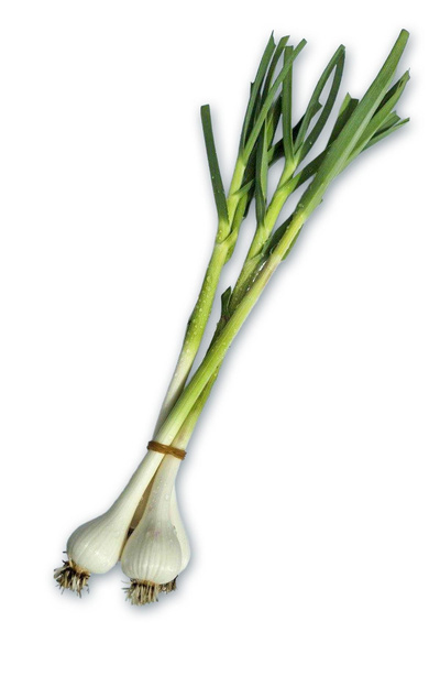 Produktfoto zu Knoblauch im Bund