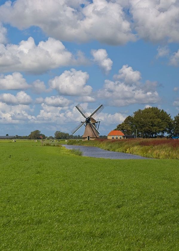 Niederlande Landschaft