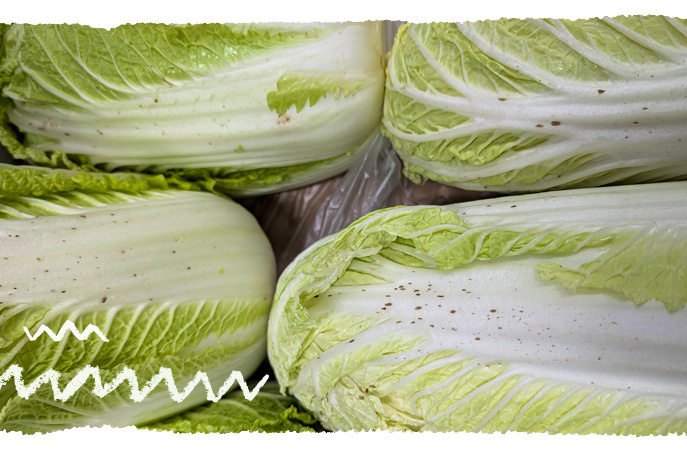 Chinakohl Köpfe mit dunklen Flecken und Spots