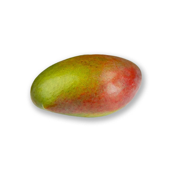 Produktfoto zu Mango, Sorte Osteen - ca. 330g