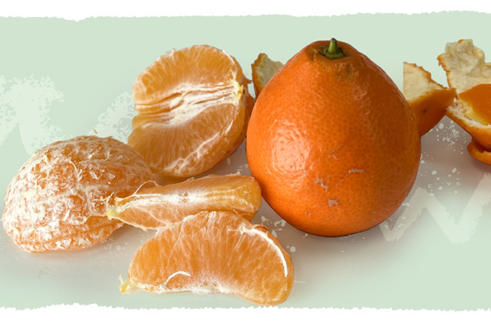 Minneola