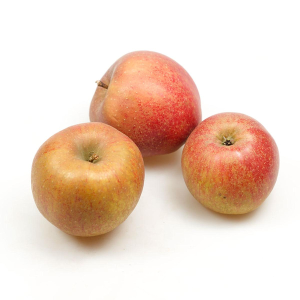 Produktfoto zu Apfel Boskoop, groß