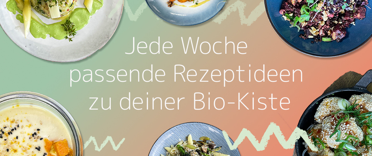 Jede Woche das passende Rezept zu unseren Abo-Kisten. Gesund und Lecker kochen einfach gemacht.