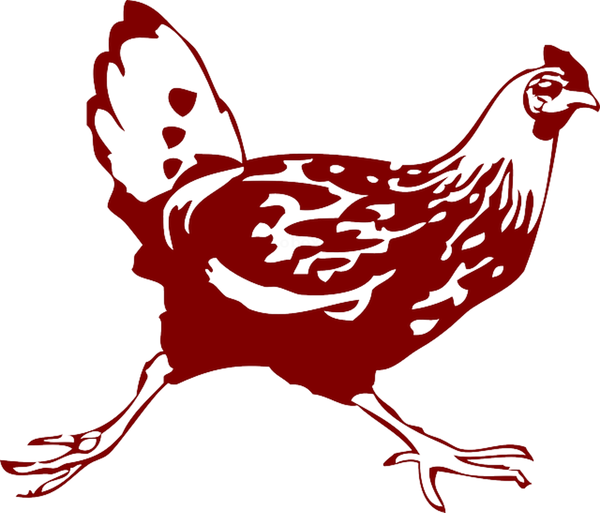 Produktfoto zu Johannshof - Suppenhuhn, tiefgekühlt - ca. 1kg