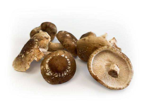 Produktfoto zu Shiitake