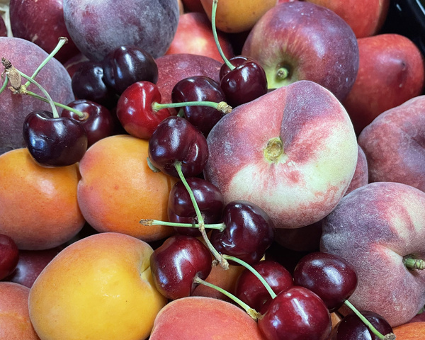 Steinobst- Mischung aus ganzen Steinfrüchten wie Pfirische, Kirschen, Aprikosen