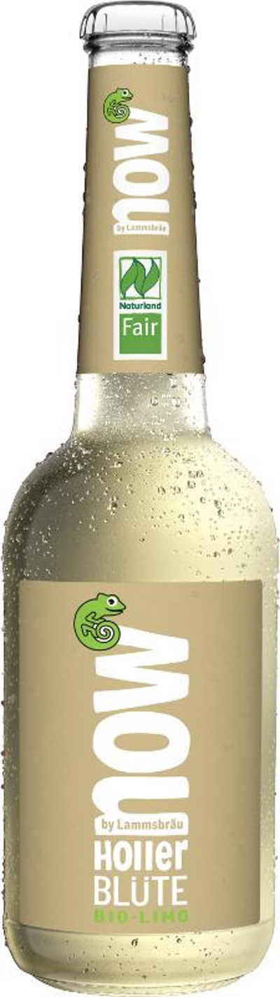 Produktfoto zu now - Holler Blüte - 0,33l
